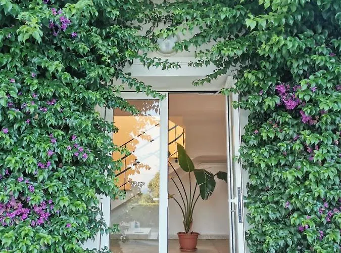 Du Canadel 公寓 Le Rayol-Canadel-sur-Mer